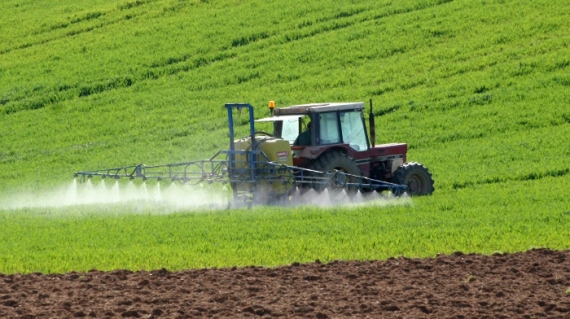Proceduri simplificate pentru fermierii care vor solicita subventii agricole de la APIA
